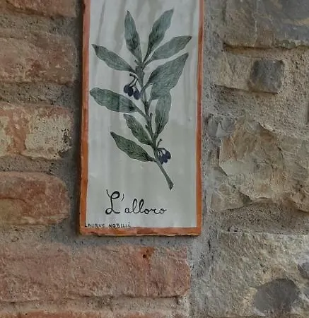 Appartement Casa Vacanze Sant'andrea Paciano