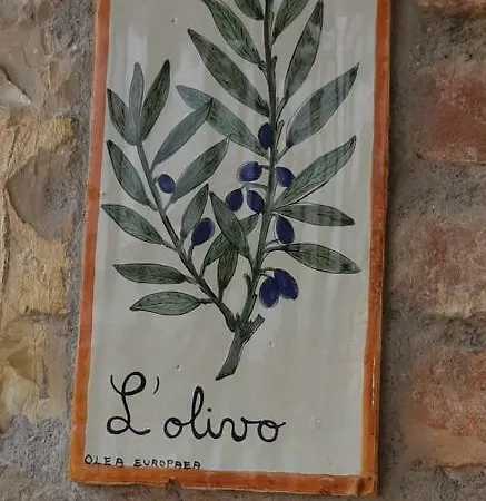 Casa Vacanze Sant'andrea Paciano